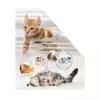 Žurnālu statīvs HERMA Stehsammler Katzen A4 dzeltenā krāsā