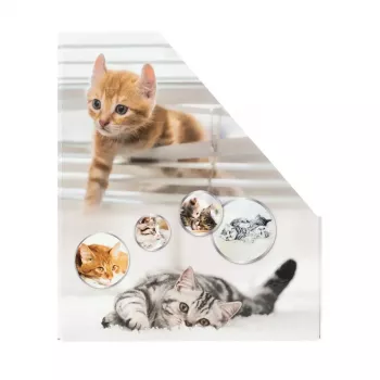 Žurnālu statīvs HERMA Stehsammler Katzen A4 dzeltenā krāsā
