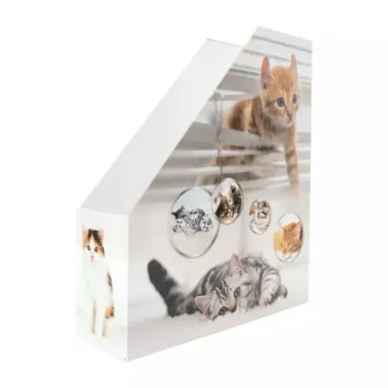 Žurnālu statīvs HERMA Stehsammler Katzen A4 dzeltenā krāsā