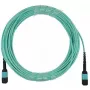 Optiskās šķiedras kabelis BlueOptics CBX-STC012BPF-MXXN-MXXN-020M-MTP OM4 20 m tirkīzzils