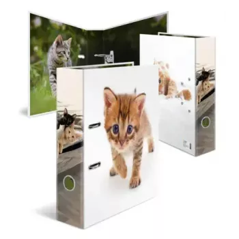 Ring binder Herma 20099 — A4 kartona mape uzglabāšanai, daudzkrāsaina, 1 gab.