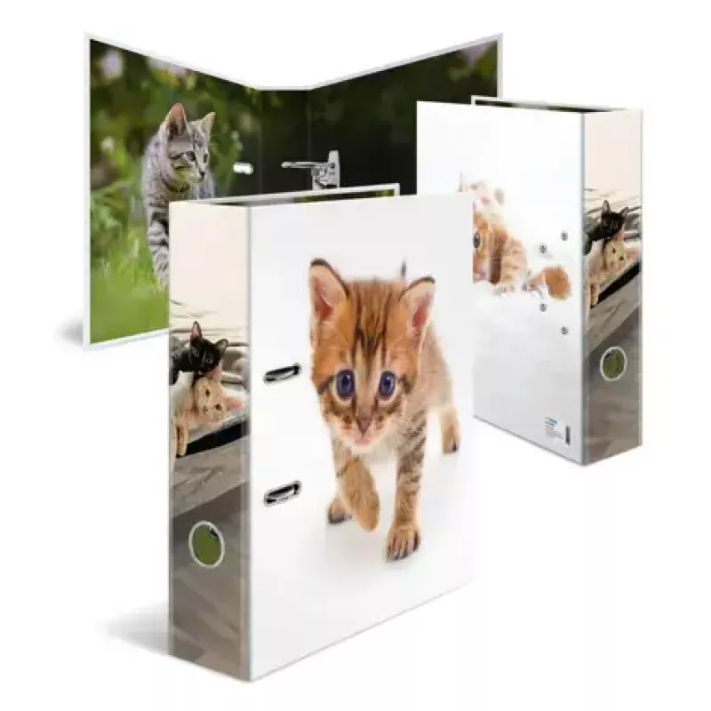 Ring binder Herma 20099 — A4 kartona mape uzglabāšanai, daudzkrāsaina, 1 gab.