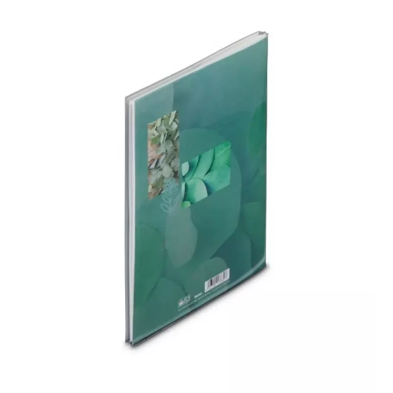 Hama Singo II fotoalbums Zaļš 40 loksnes Perfekta iesējums