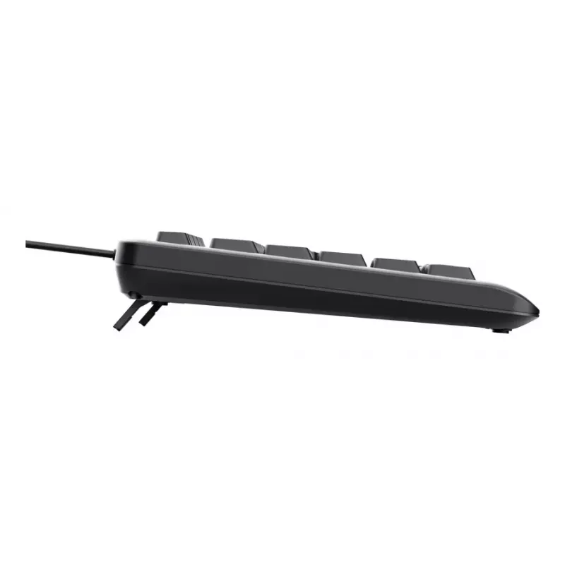 Trust Primo apgaismota tastatūra mājas/biroja USB QWERTY US angļu melna