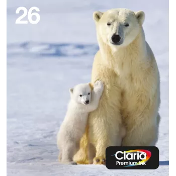Epson Polar bear Multipack 4-colours 26 EasyMail, standarta ietilpība, melns, ciāns, fuksīns, dzeltens, pigmenta tinte, krāsvielu tinte, 6,2 ml, 4,5 ml