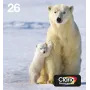 Epson Polar bear Multipack 4-colours 26 EasyMail, standarta ietilpība, melns, ciāns, fuksīns, dzeltens, pigmenta tinte, krāsvielu tinte, 6,2 ml, 4,5 ml