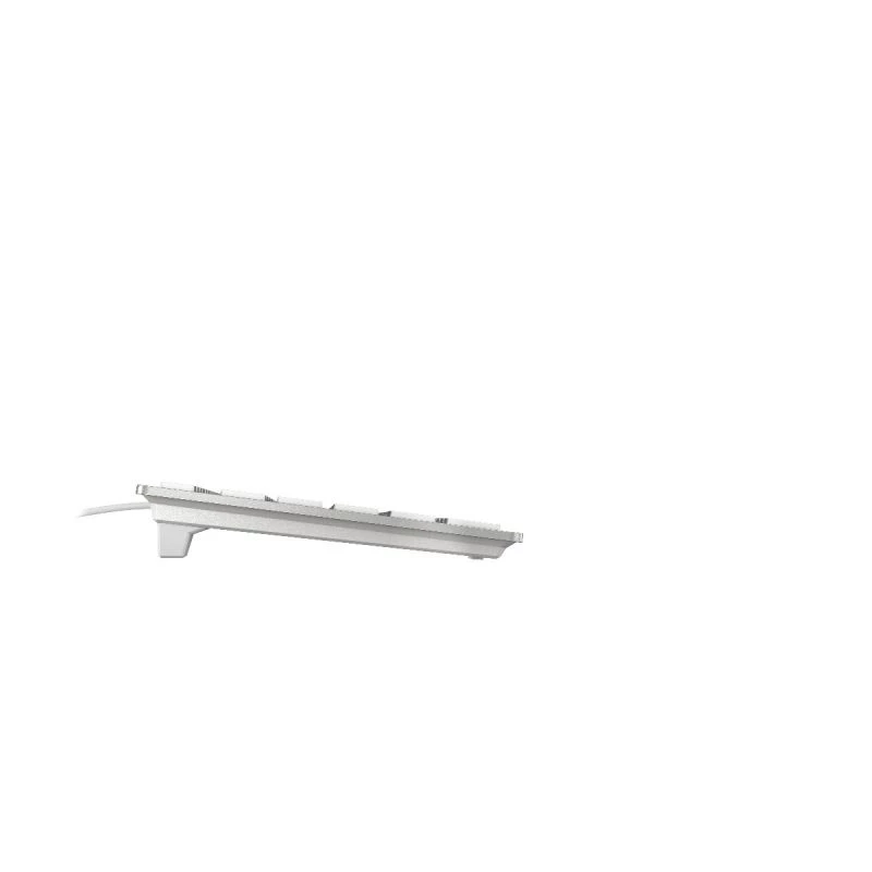 CHERRY KC 6000 plāns FOR MAC tastatūra Birojam USB AZERTY Franču Sudraba