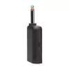 Mikrofonu komplekts JBL Wireless Two Microphone System