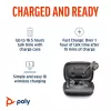 HP Poly Voyager Free 60 UC M Carbon Melns Earbuds +BT700 USB-C Adapter +Basic Charge Case