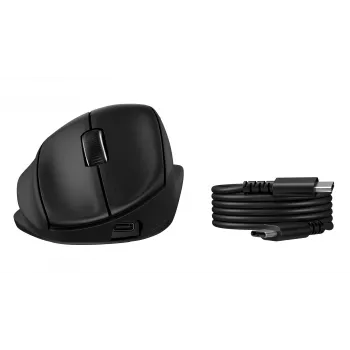 Bezvadu ergonomiskā slīpā pele HP Tilt Ergonomic 725M, melna