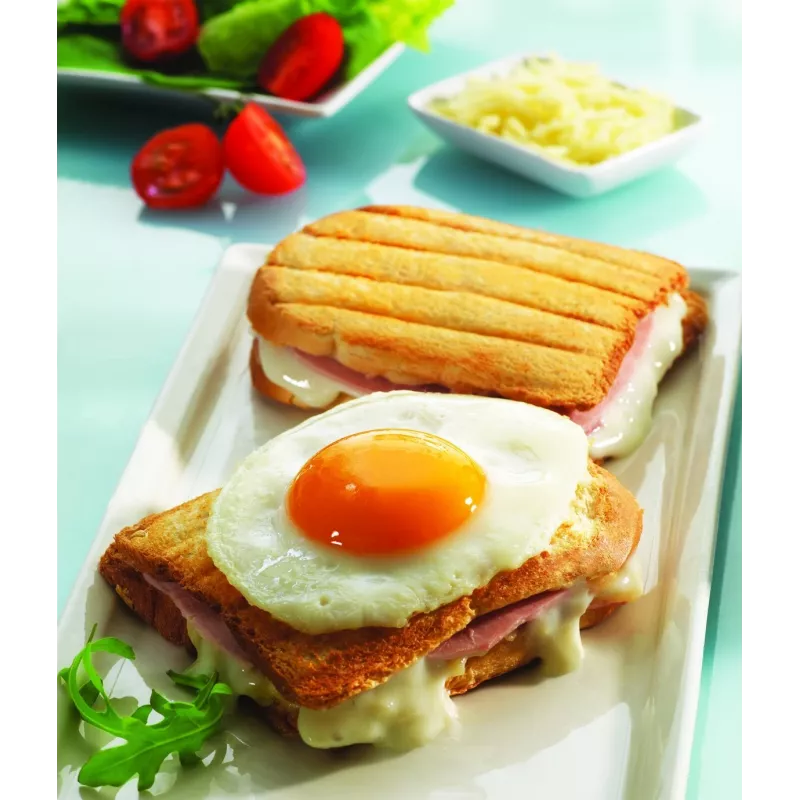 Rezerves plāksne Tefal XA800112 Snack Collection/SnackTime — melna, 242×155×44 mm, 2 gab. iepakojumā