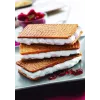 Rezerves plāksne Tefal XA800512 Snack Collection / SnackTime, melna, 242×155×44 mm, iepakojumā 2 gab.