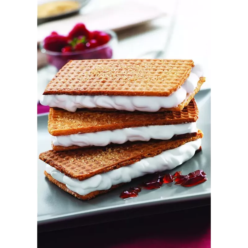 Rezerves plāksne Tefal XA800512 Snack Collection / SnackTime, melna, 242×155×44 mm, iepakojumā 2 gab.