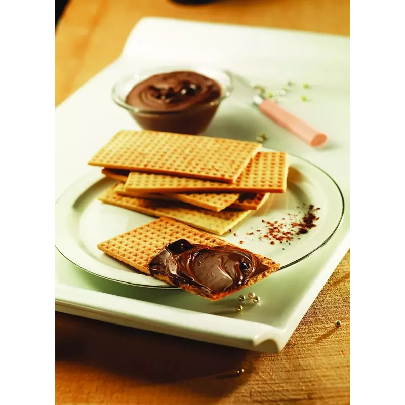 Rezerves plāksne Tefal XA800512 Snack Collection / SnackTime, melna, 242×155×44 mm, iepakojumā 2 gab.
