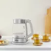 Tefal Glass Kettle KI605B30 electric kettle 1.7 L 2200 W pelēka, Silver, Transparent