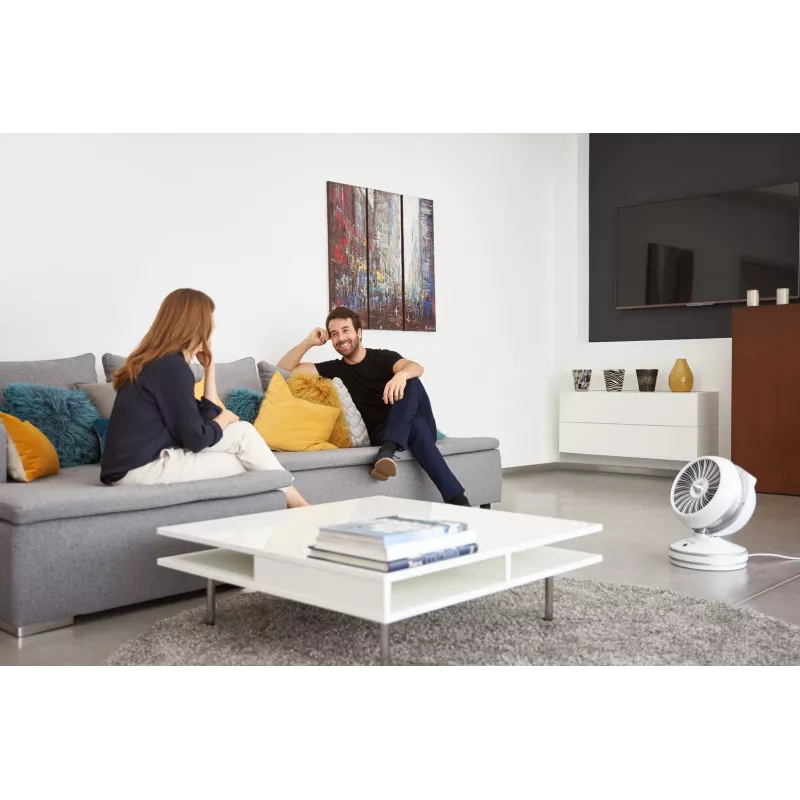 Rowenta HQ7152 iekštelpu balts, sudrabains ventilatora elektriskais sildītājs