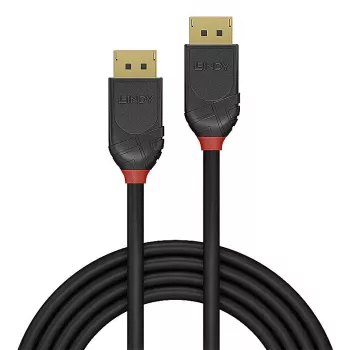 Lindy 36519 DisplayPort kabelis 5 m Melns