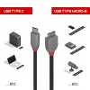 Lindy 1m USB 3.2 C tipa uz Micro-B kabelis, Anthra Line, 1 m, USB C, Micro-USB B, USB 3.2 Gen 1 (3.1 Gen 1), melns