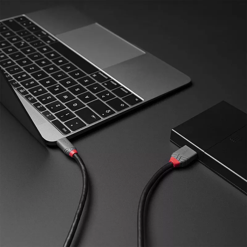 Lindy 2m USB 3.2 Type C uz Micro-B kabelis, Anthra Line, 2 m, USB C, Micro-USB B, USB 3.2 Gen 1 (3.1 Gen 1), melns