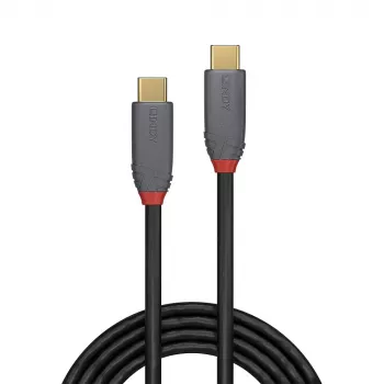 Lindy 36904 USB kabelis USB 3.2 Gen 2 (3.1 Gen 2) 3 m USB C Melns