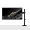 Lindy Single regulējams monitora kronšteins, 8 kg, 33 cm (13 collas), 81.3 cm (32 collas), 75 x 75 mm, 100 x 100 mm, melna