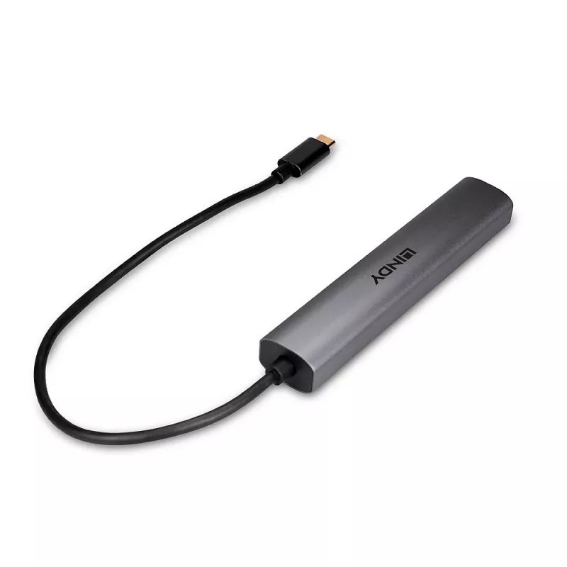 Lindy 43385 saskarnes centrmezgls USB Type-C 10000 Mbit/s pelēks