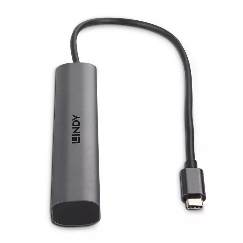 Lindy 43385 saskarnes centrmezgls USB Type-C 10000 Mbit/s pelēks