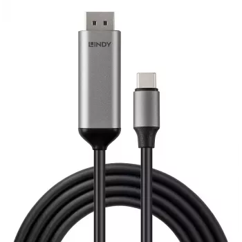 Lindy 43504 video kabeļa adapteris 2 m USB Type-C DisplayPort Pelēks