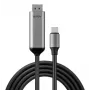 Lindy 43504 video kabeļa adapteris 2 m USB Type-C DisplayPort Pelēks