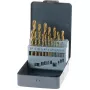 Urbju komplekts KWB 421856 19 gab. Vītņurbji 1,0–10 mm