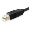 Equip USB 2.0 Type C uz Type B kabelis, 1m, 1 m, USB B, USB C, USB 2.0, vīrietis/vīrietis, melns