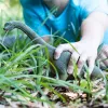 schleich Dinozauri Brachiosaurus, 4 gadi, Laikmets: Dinozauru laikmets, Zemes iekarošana, Dinozauri un vulkāns, Pirmie milži, Daudzkrāsains, Plastmasa