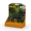 schleich WILD LIFE Melnā pantera, 3 gadi, Džungļi, Savvaļas dzīvnieki / piedzīvojumu rotaļlietas, Daudzkrāsains, Plastmasa