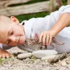 schleich Dinozauri Triceratops, 4 gadi, Zemes iekarošana, Dinozauri un vulkāns, Daudzkrāsains, Plastmasa, 1 gab.