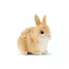 schleich FARM WORLD trušu būris, Lauku sēta, Lauku dzīvnieki / lauku rotaļlietas, 3 gadi, Daudzkrāsains, Plastmasa