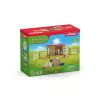 schleich FARM WORLD trušu būris, Lauku sēta, Lauku dzīvnieki / lauku rotaļlietas, 3 gadi, Daudzkrāsains, Plastmasa