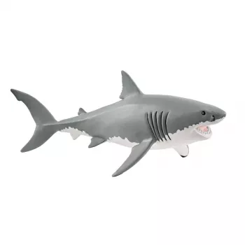 schleich WILD LIFE Lielā baltā haizivs, 3 gadi, Ledus un okeāns, Savvaļas dzīvnieki / piedzīvojumu rotaļlietas, Daudzkrāsaina, Plastmasa, 1 gab.