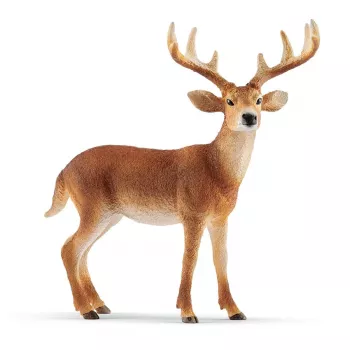 schleich WILD LIFE baltastes buks, 3 gadi, Mežs, Savvaļas dzīvnieki / piedzīvojumu rotaļlietas, Daudzkrāsains, Plastmasa, 1 gab.