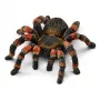 Figūra Schleich WILD LIFE Tarantula