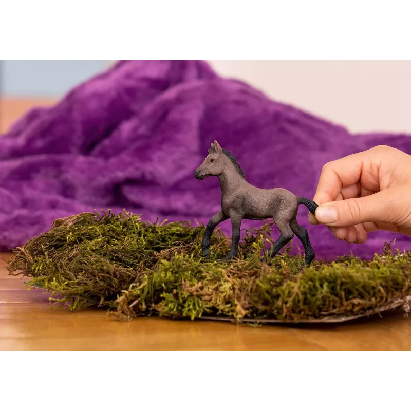 schleich HORSE CLUB Peru Paso kumeļš, 5 gadi, Zirgi, Brūns, Plastmasa