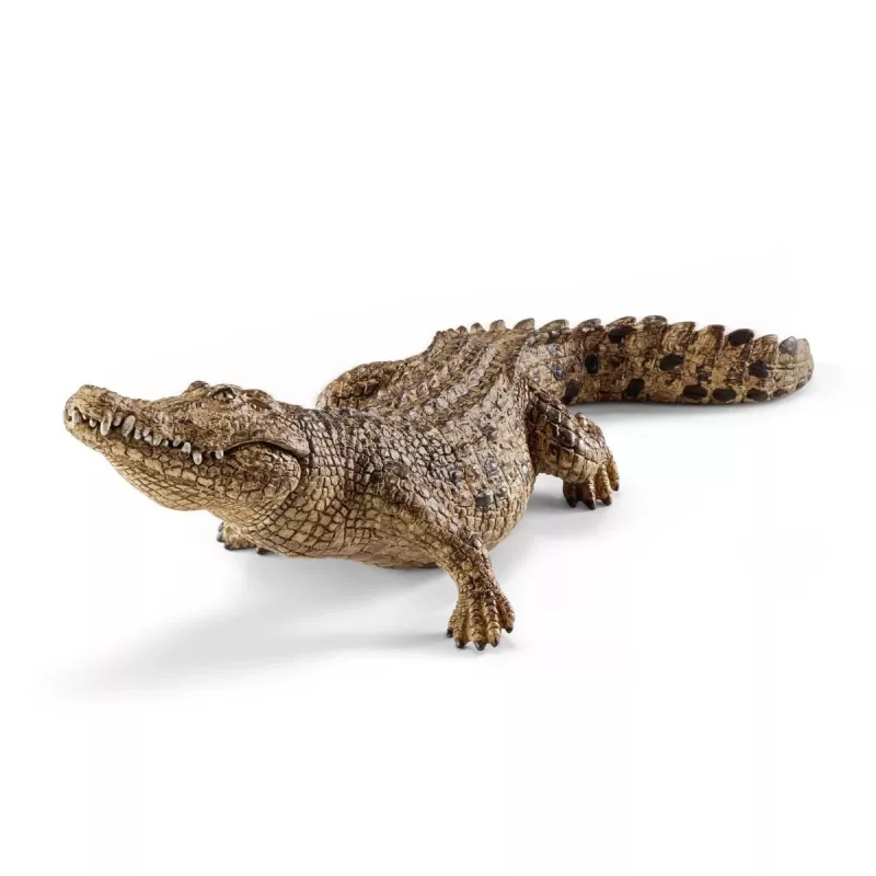 schleich WILD LIFE Krokodils, 3 g., Safari, Savvaļas dzīvnieku / piedzīvojumu rotaļlietas, Daudzkrāsains, Plastmasa, 1 gab.