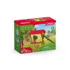 Meža dzīvnieku komplekts Schleich 42658S Krāsaini barošanas piederumi