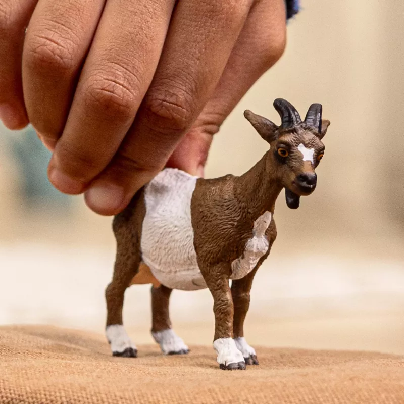 schleich FARM WORLD Kaza, 3 gadi, Lauku sēta, Lauku dzīvnieki / lauku rotaļlietas, Daudzkrāsains