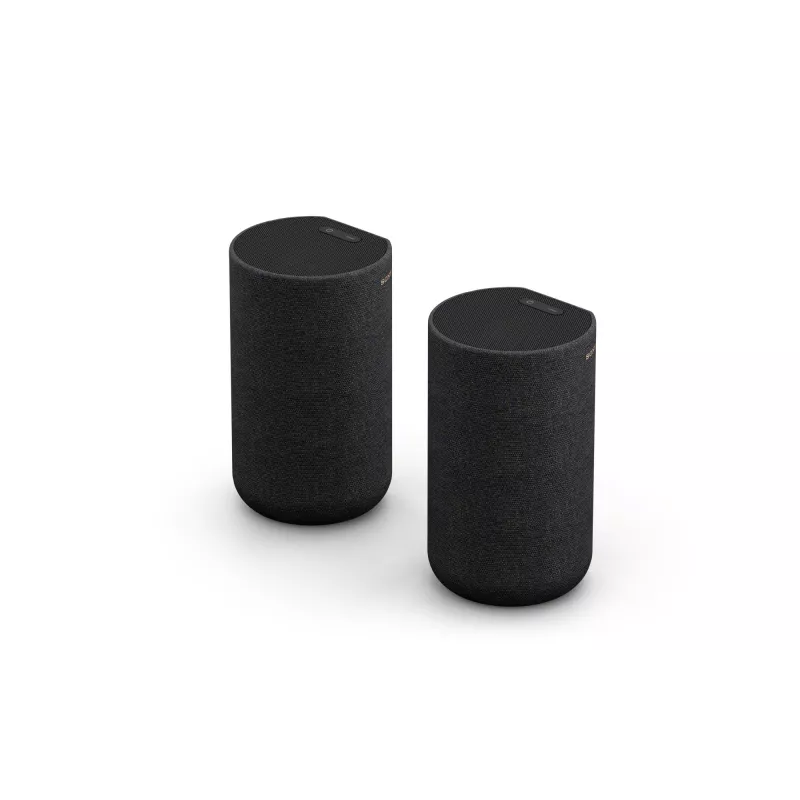 Sony SA-RS5 2-way Melns Wired & Wireless 180 W