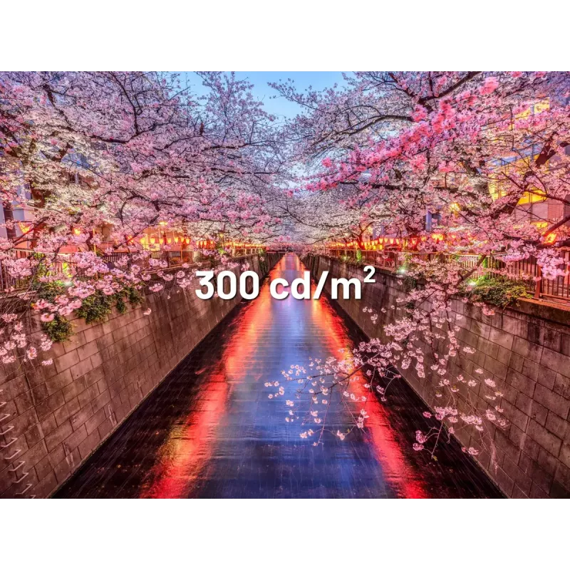 JAPANNEXT JN-I238FHD120F-HSP-YE datora monitors 60,5 cm (23,8 collas) 1920 x 1080 pikseļi Full HD LCD dzeltens