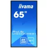 Digitālās reklāmas plakanpanelis IIYAMA LH6552UHS-B1 64,5 collas IPS 4K 3840x2160 500 cd/m² Android 8.0 24/7 Melns