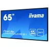 Digitālās reklāmas plakanpanelis IIYAMA LH6552UHS-B1 64,5 collas IPS 4K 3840x2160 500 cd/m² Android 8.0 24/7 Melns