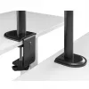 Monitora galda stiprinājums MACLEAN MC-753N 17–32 collu ekrāniem, VESA 75x75 / 100x100, maks. 9 kg, slīpums ±45°, pagriešana ±180°, regulējams augstums