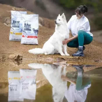 Sausā suņu barība VETEXPERT RAW PALEO Ultra vidējiem un lieliem pieaugušiem suņiem Turcija — 2 kg, bez graudiem, olbaltumvielas 24,5%, tauki 14%
