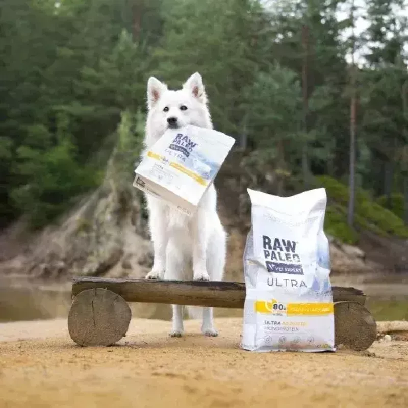 Sausā suņu barība VETEXPERT RAW PALEO Ultra vidējiem un lieliem pieaugušiem suņiem Turcija — 2 kg, bez graudiem, olbaltumvielas 24,5%, tauki 14%